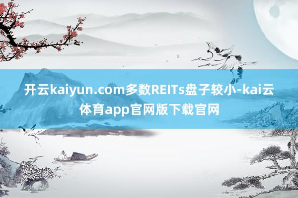 开云kaiyun.com多数REITs盘子较小-kai云体育app官网版下载官网