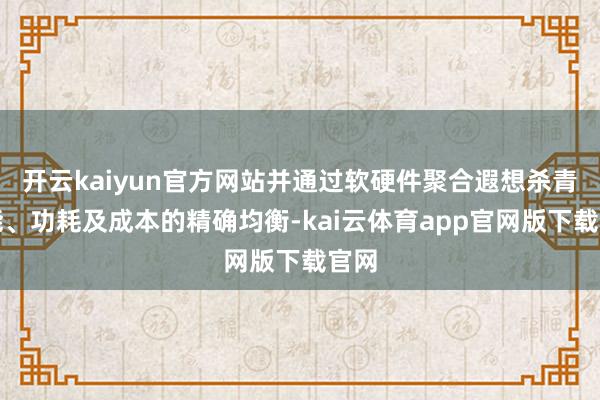 开云kaiyun官方网站并通过软硬件聚合遐想杀青性能、功耗及成本的精确均衡-kai云体育app官网版下载官网