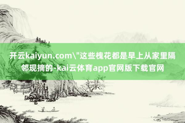 开云kaiyun.com