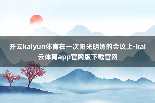 开云kaiyun体育在一次阳光明媚的会议上-kai云体育app官网版下载官网