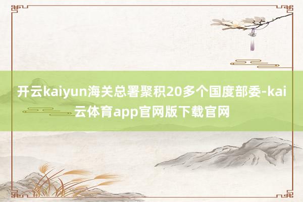 开云kaiyun海关总署聚积20多个国度部委-kai云体育app官网版下载官网