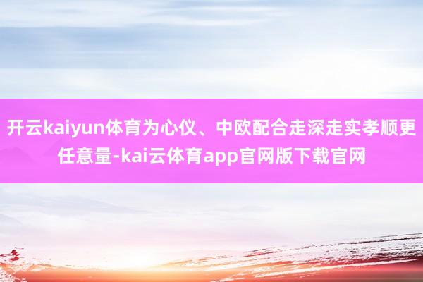 开云kaiyun体育为心仪、中欧配合走深走实孝顺更任意量-kai云体育app官网版下载官网
