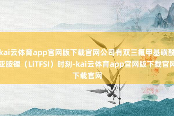 kai云体育app官网版下载官网公司有双三氟甲基磺酰亚胺锂（LiTFSI）时刻-kai云体育app官网版下载官网